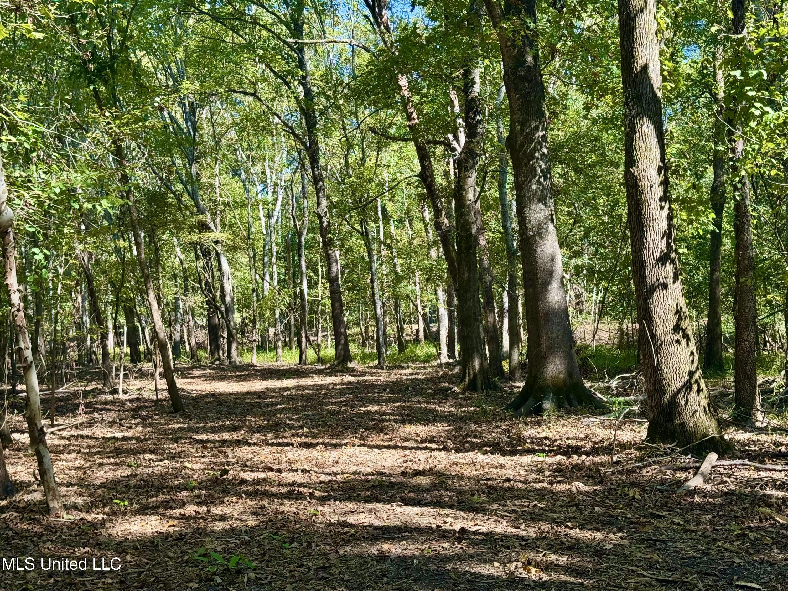 000001 Hwy 16 Property Photo 27