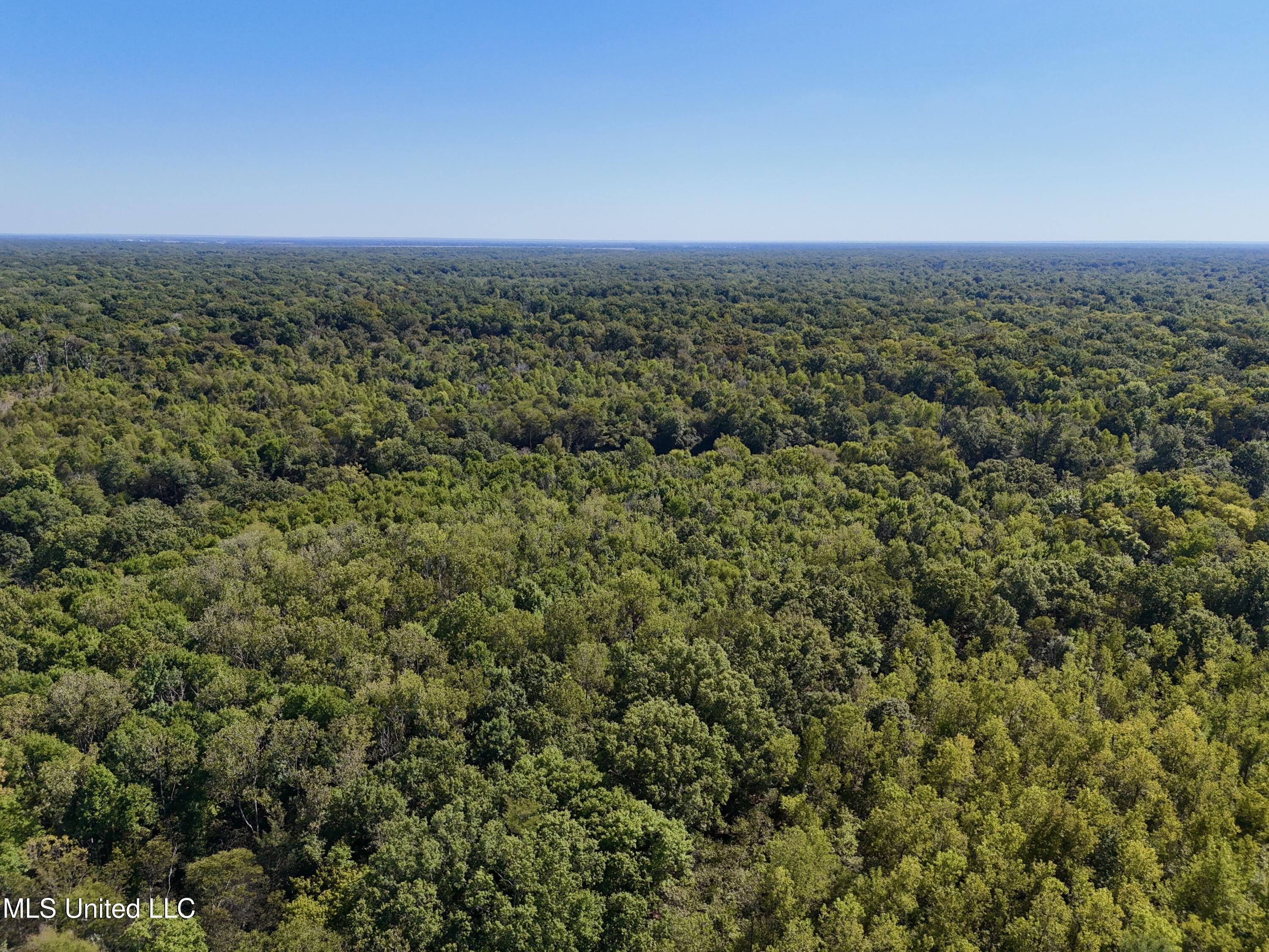 000001 Hwy 16 Property Photo 29