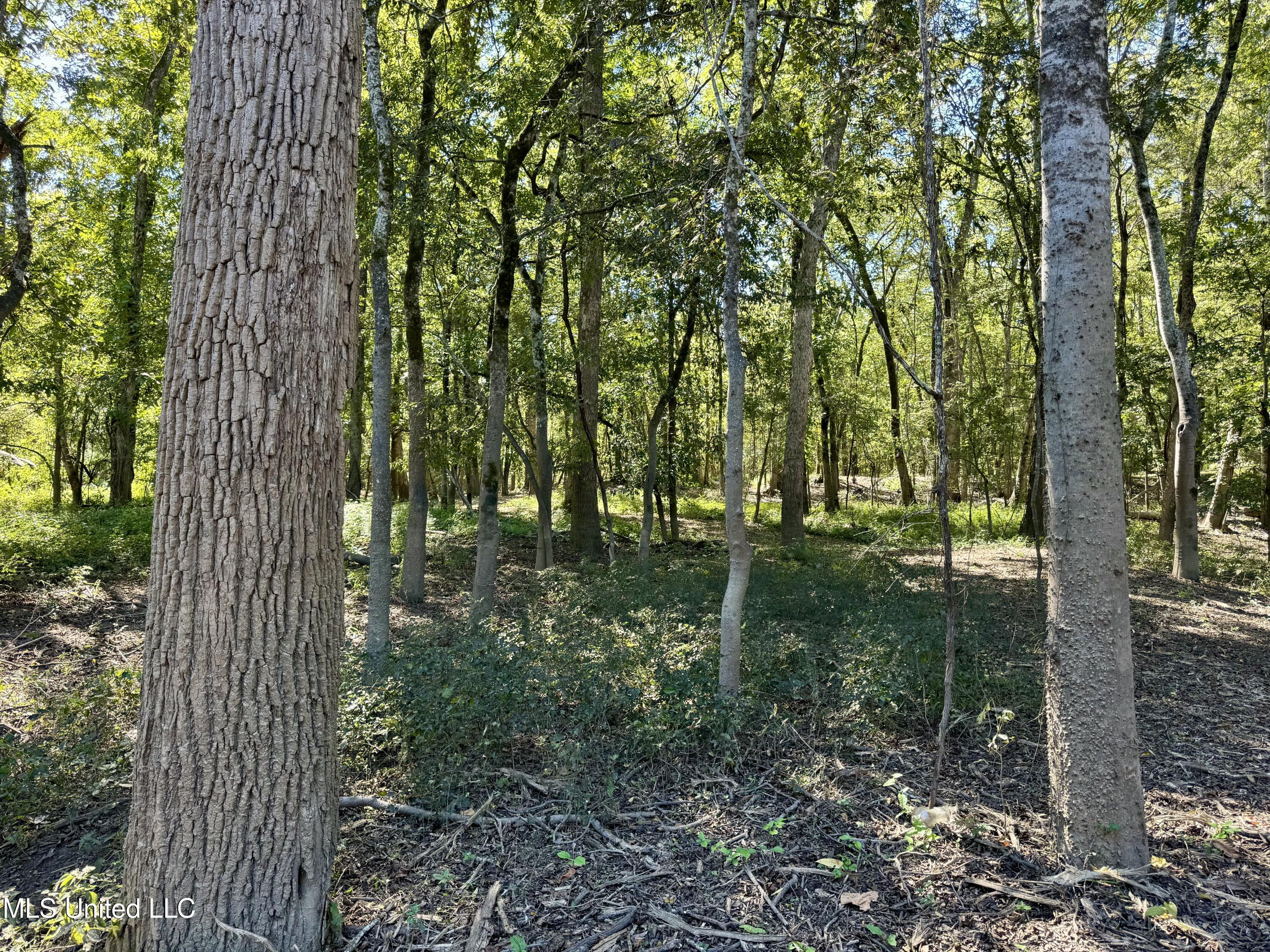 000001 Hwy 16 Property Photo 30