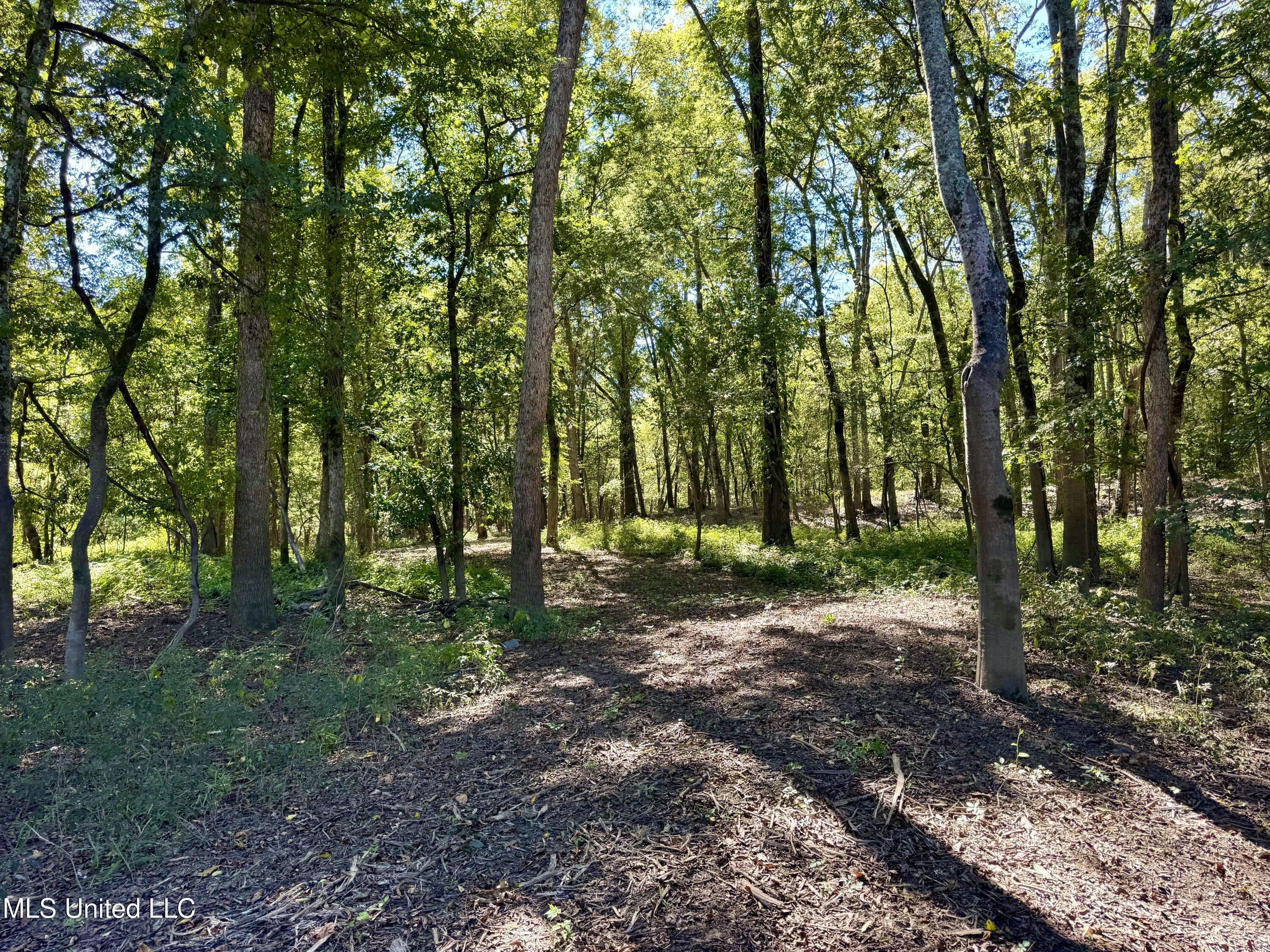 000001 Hwy 16 Property Photo 31