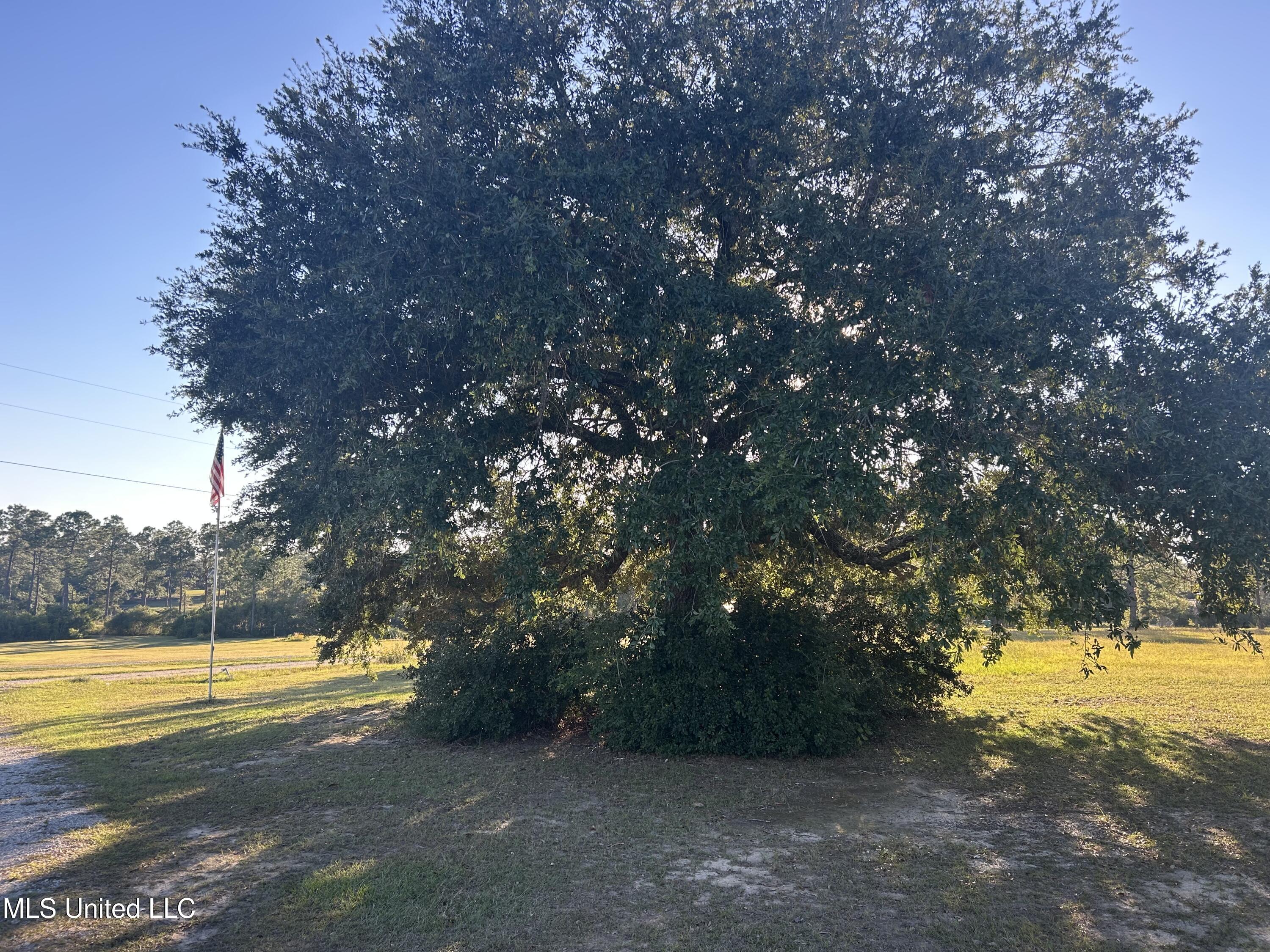 6130 Road 541 Property Photo 8