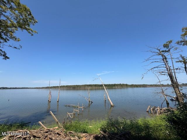 00 Pecan Grove Road Property Photo 3