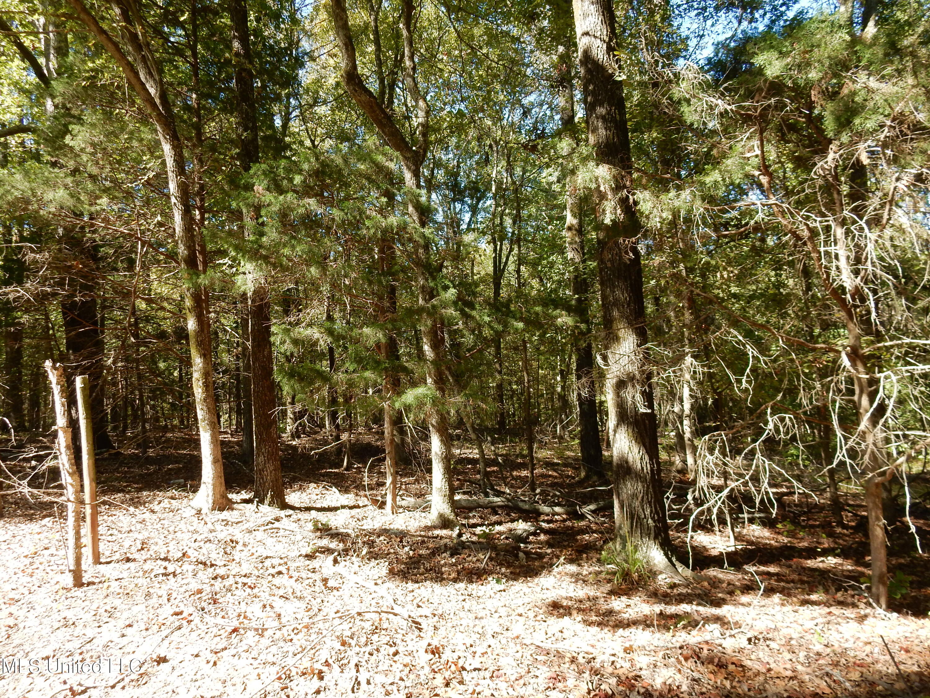 Lot 1 N Crockett Road Property Photo 1