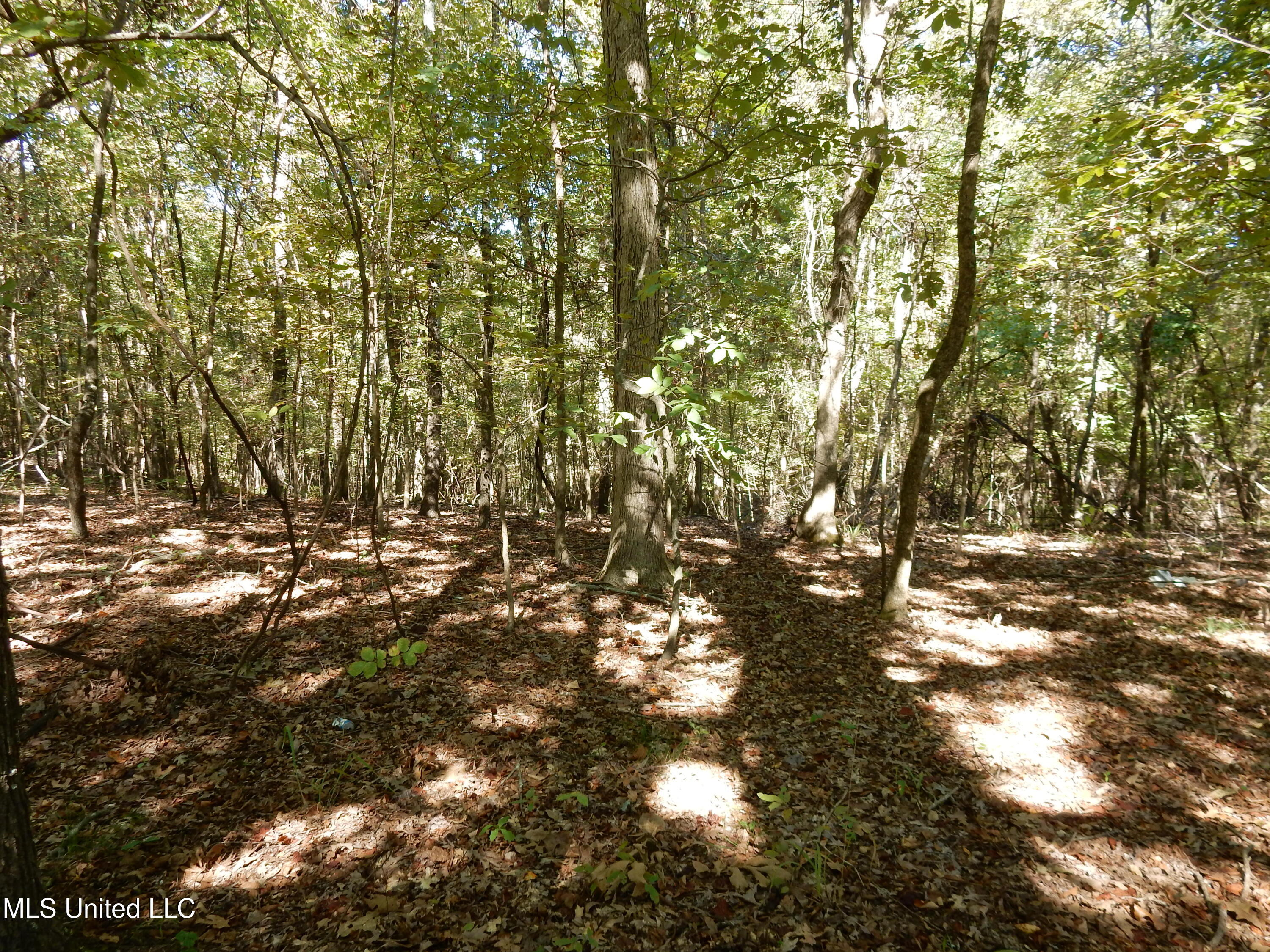 Lot 1 N Crockett Road Property Photo 2