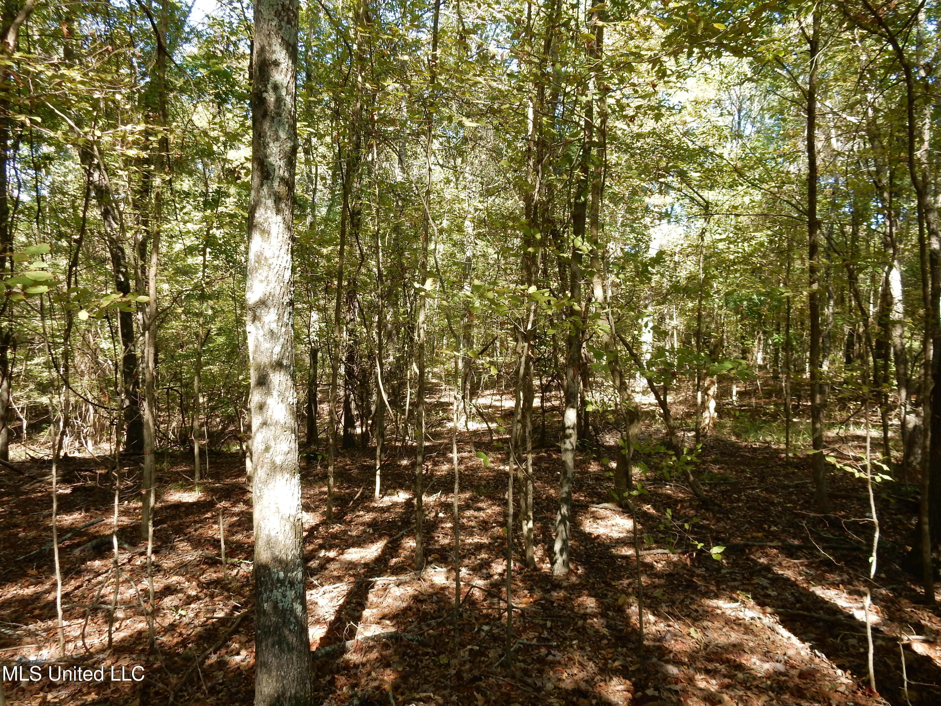 Lot 1 N Crockett Road Property Photo 3