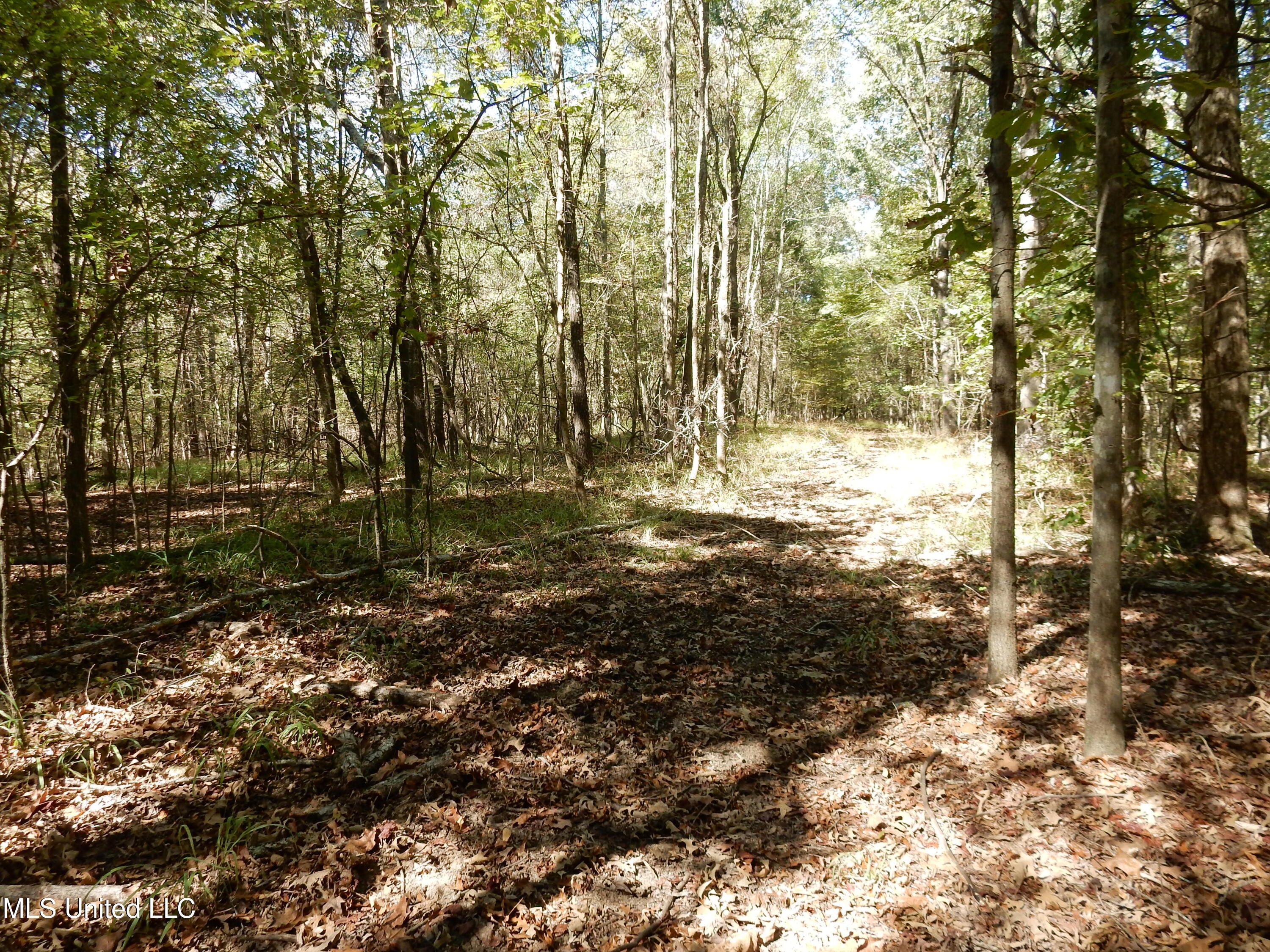 Lot 3 N Crockett Road Property Photo 3