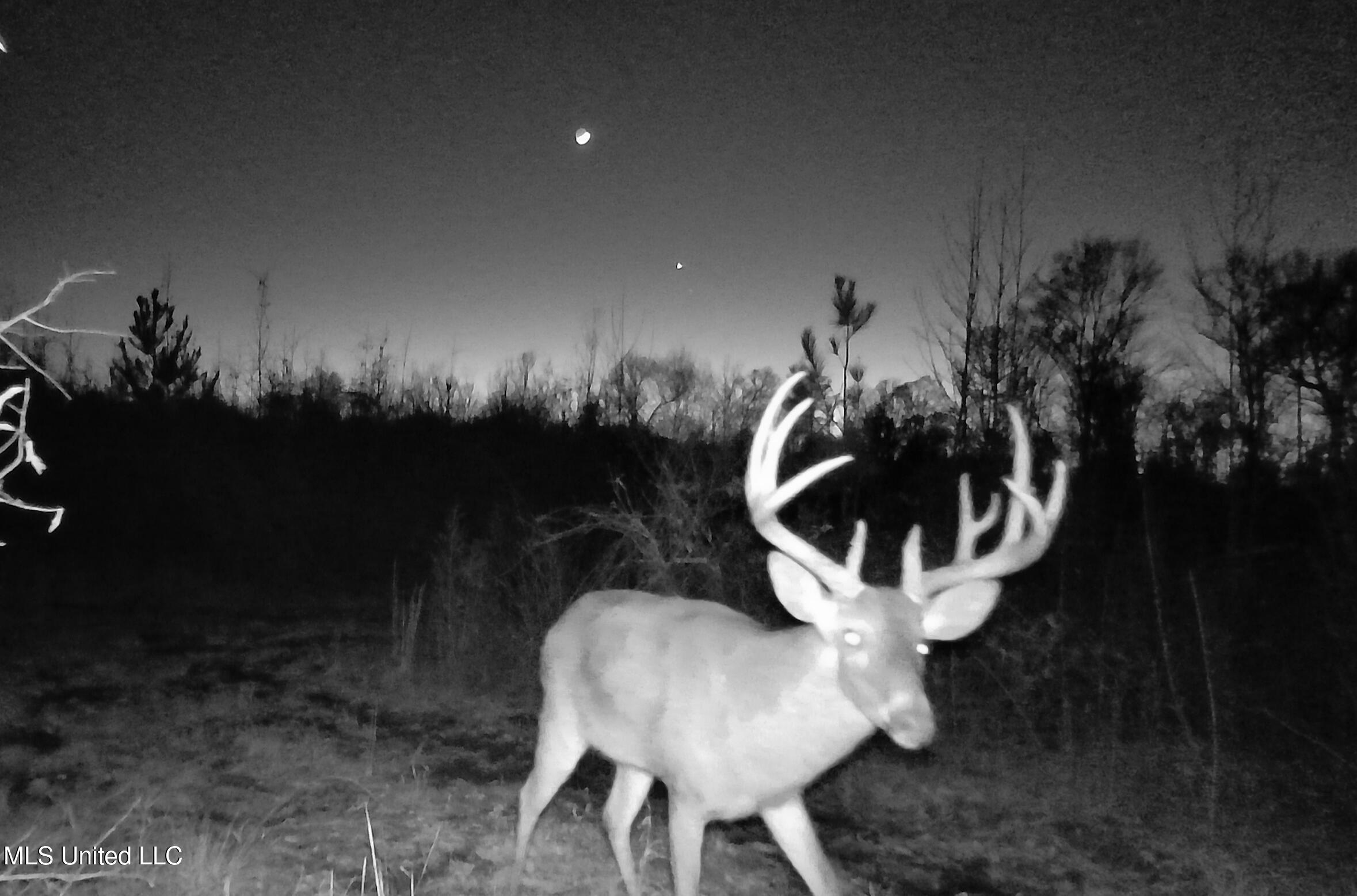 0 River Bend Road Property Photo 1