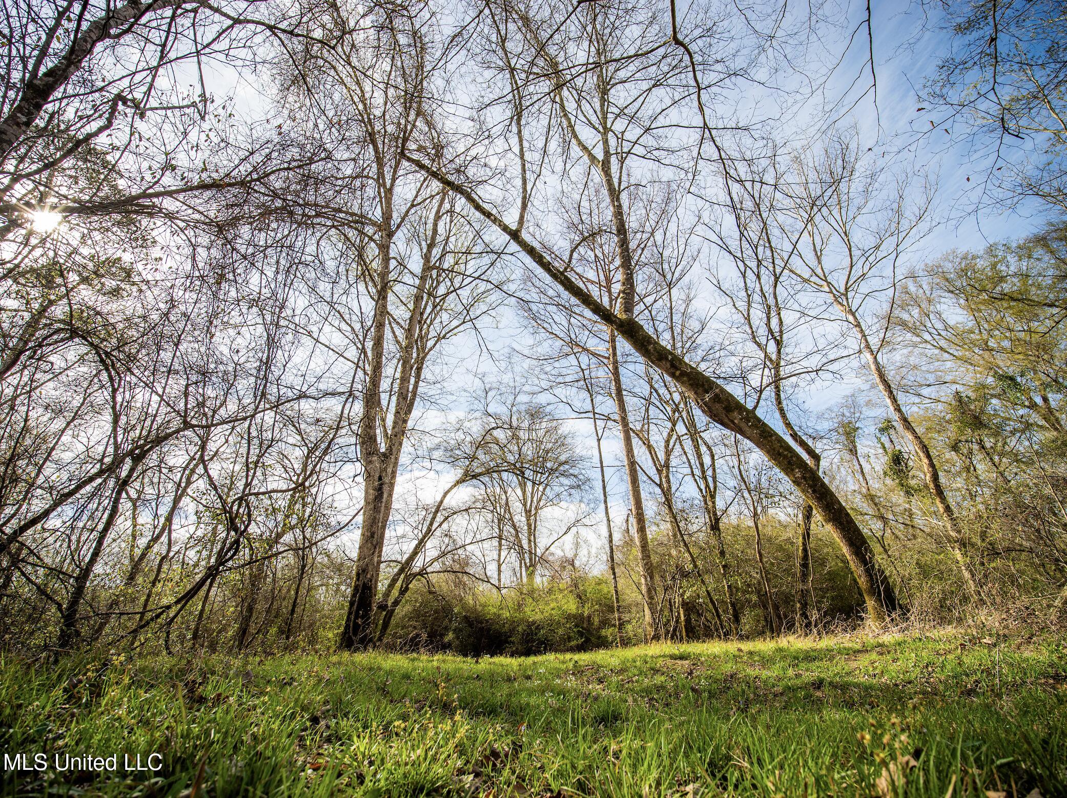 0 River Bend Road Property Photo 3
