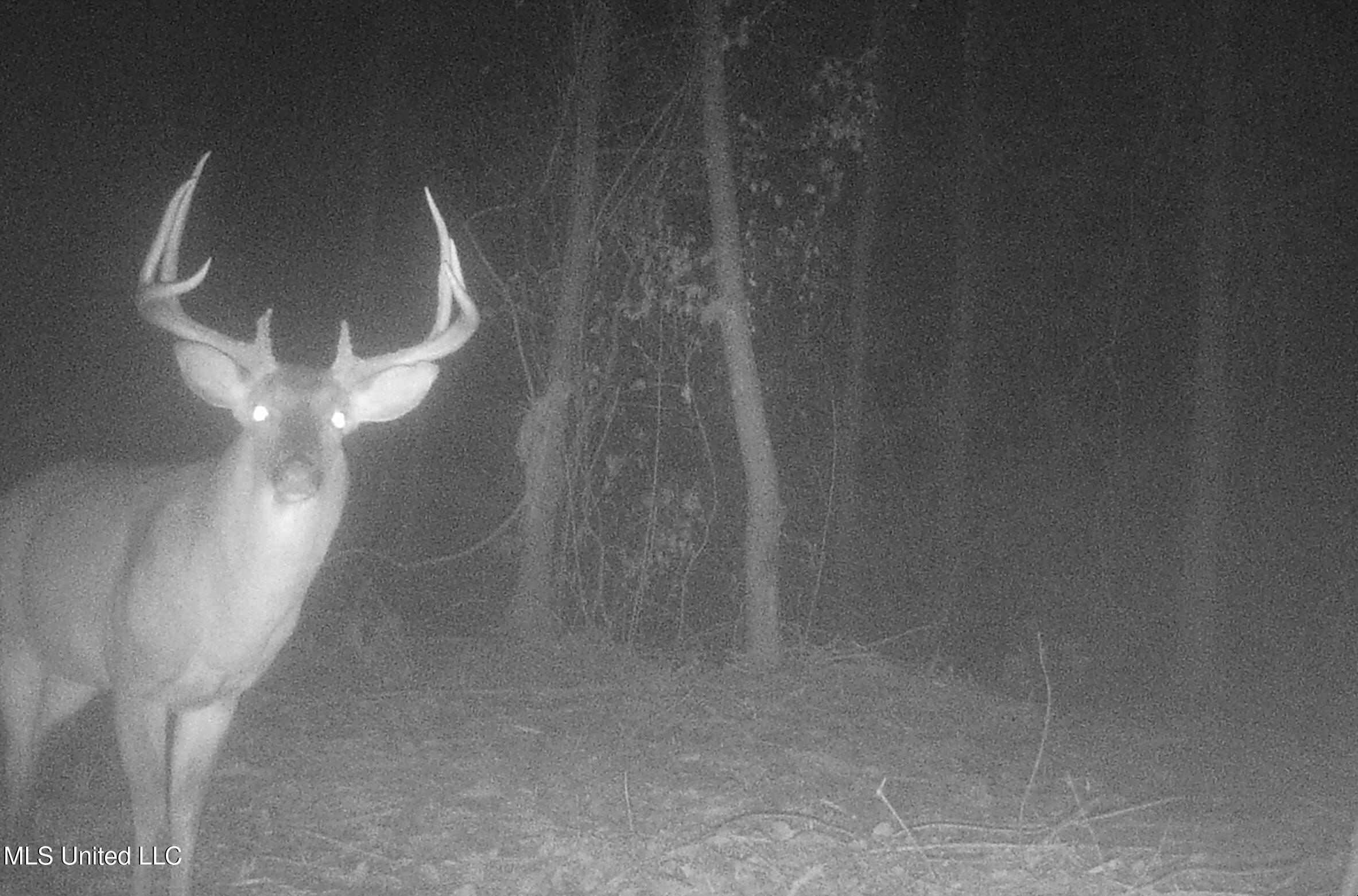 0 River Bend Road Property Photo 6