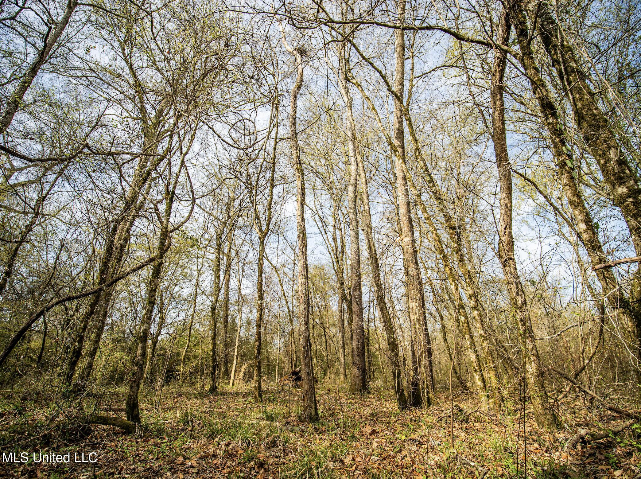 0 River Bend Road Property Photo 7