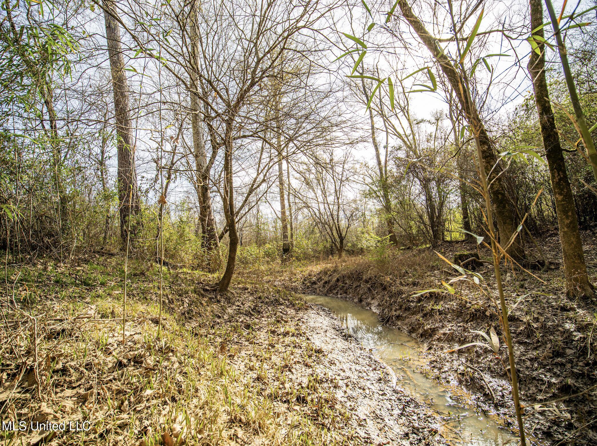 0 River Bend Road Property Photo 9