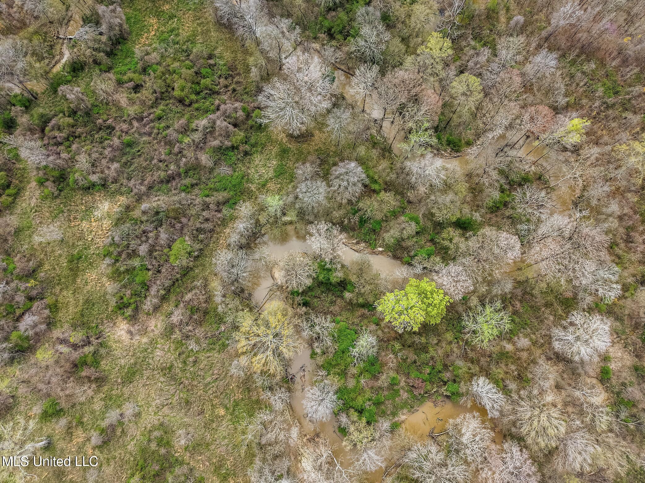 0 River Bend Road Property Photo 11