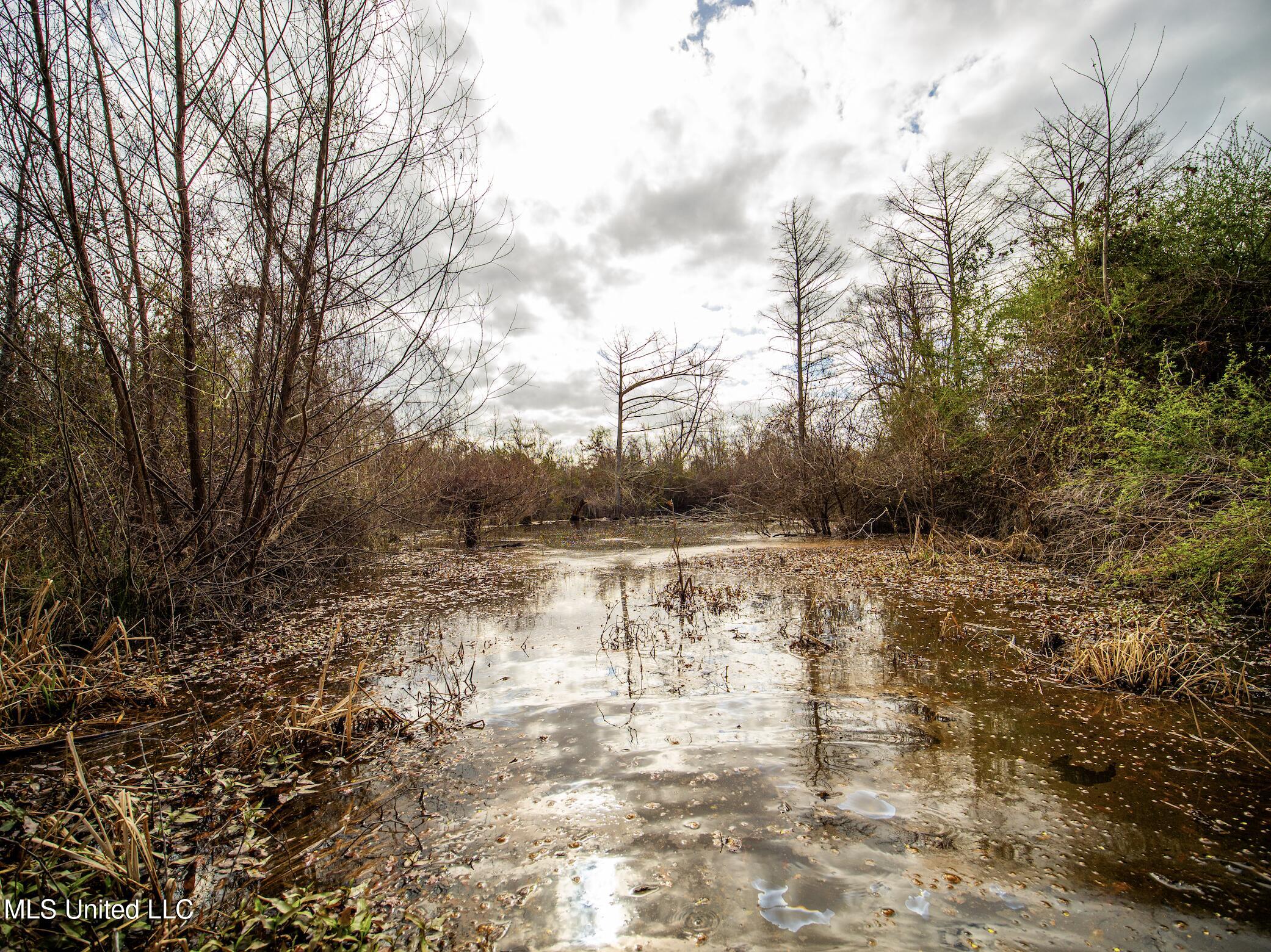 0 River Bend Road Property Photo 13