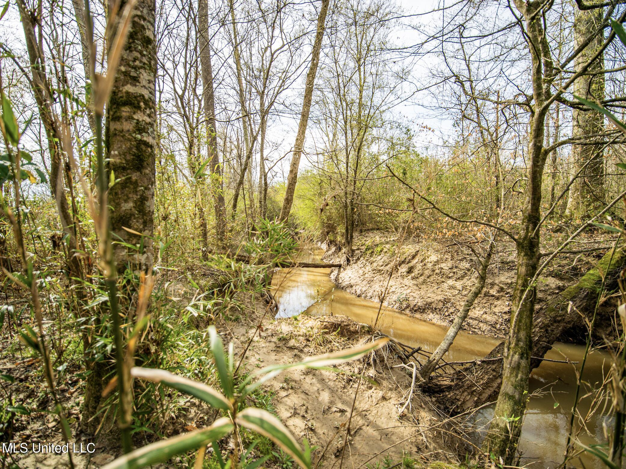 0 River Bend Road Property Photo 14