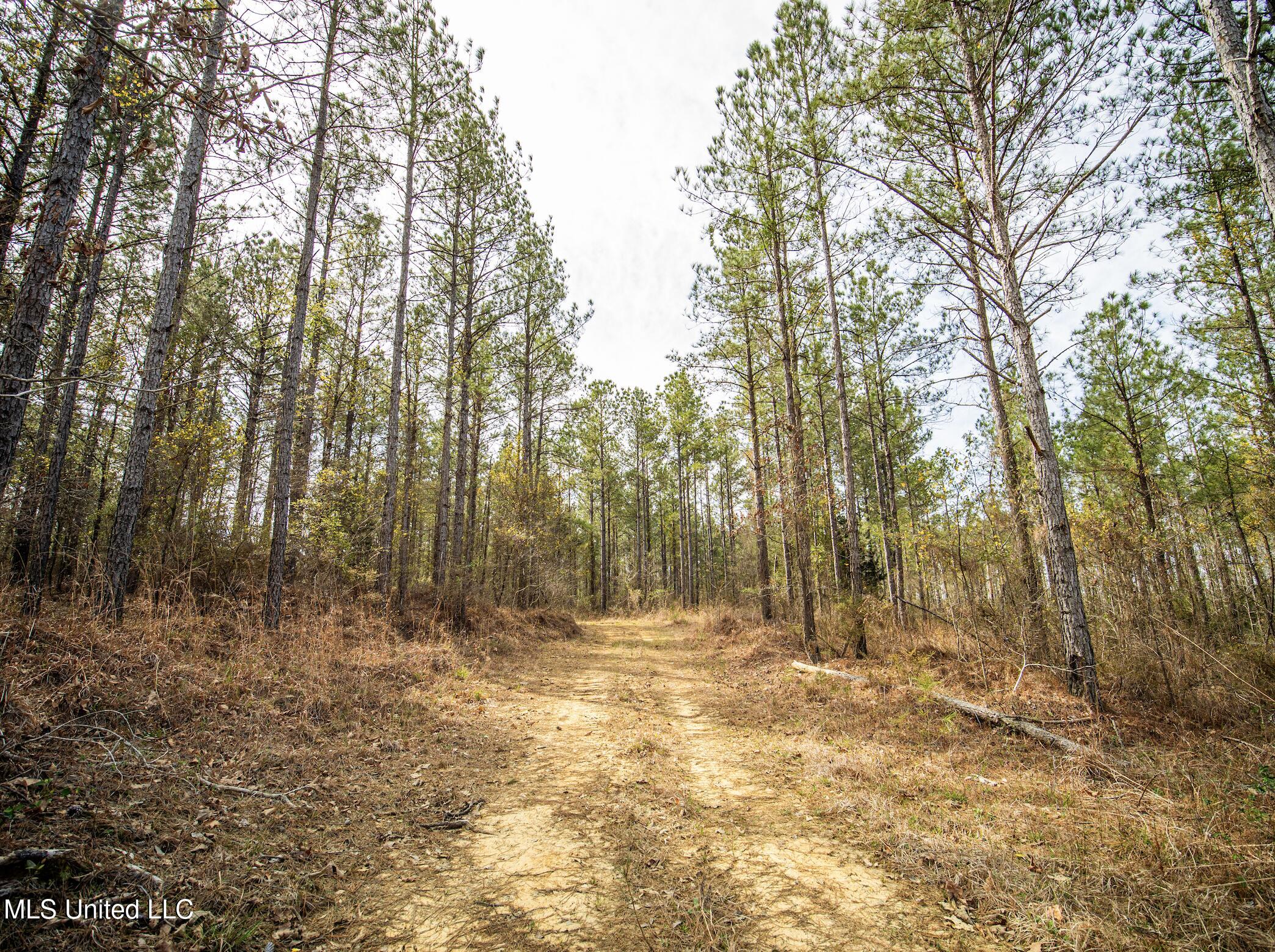 0 River Bend Road Property Photo 15