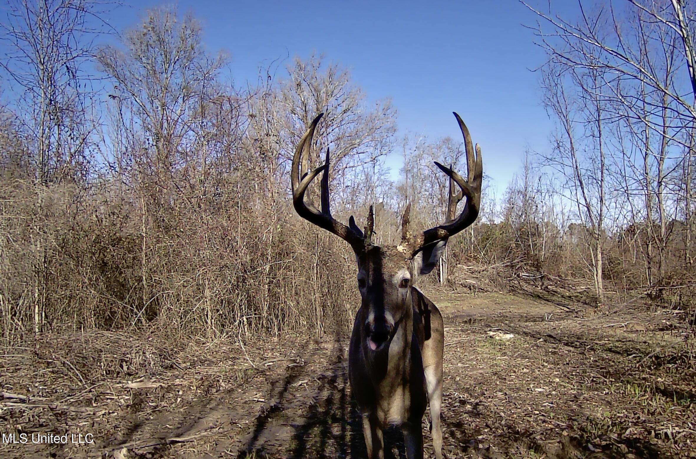 0 River Bend Road Property Photo 16