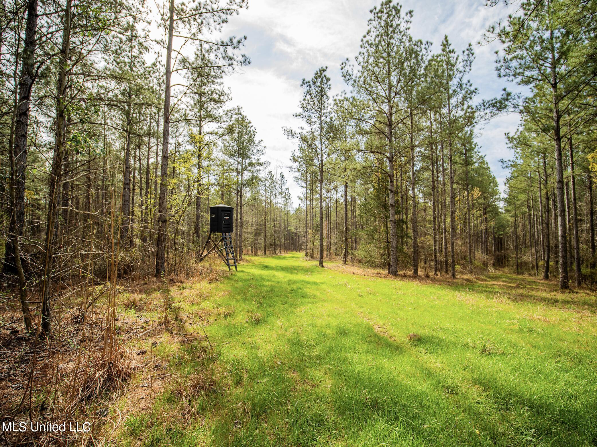 0 River Bend Road Property Photo 17