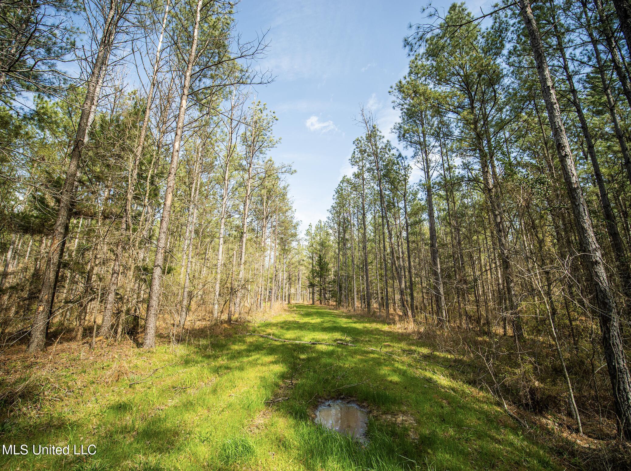 0 River Bend Road Property Photo 18