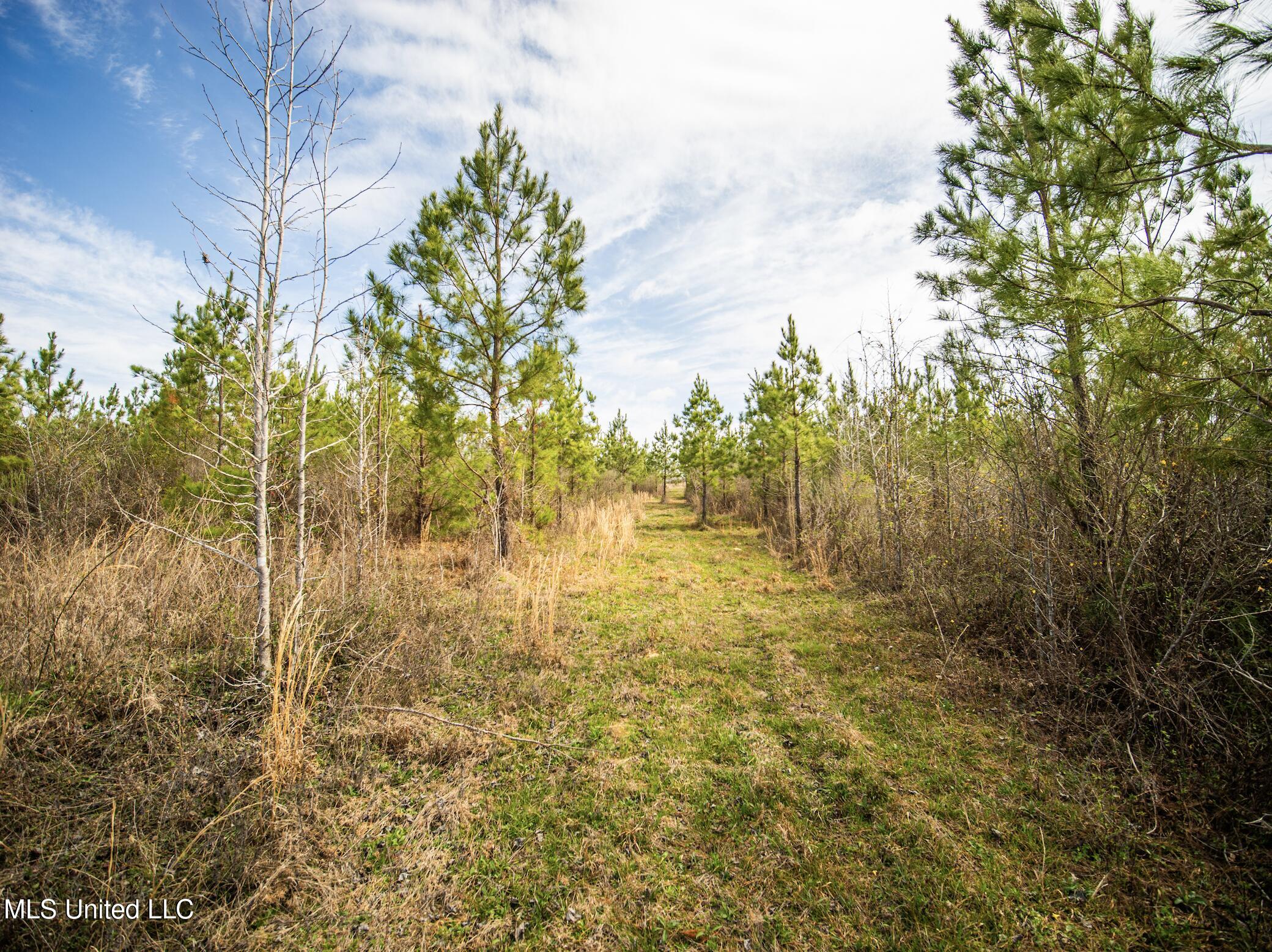 0 River Bend Road Property Photo 24