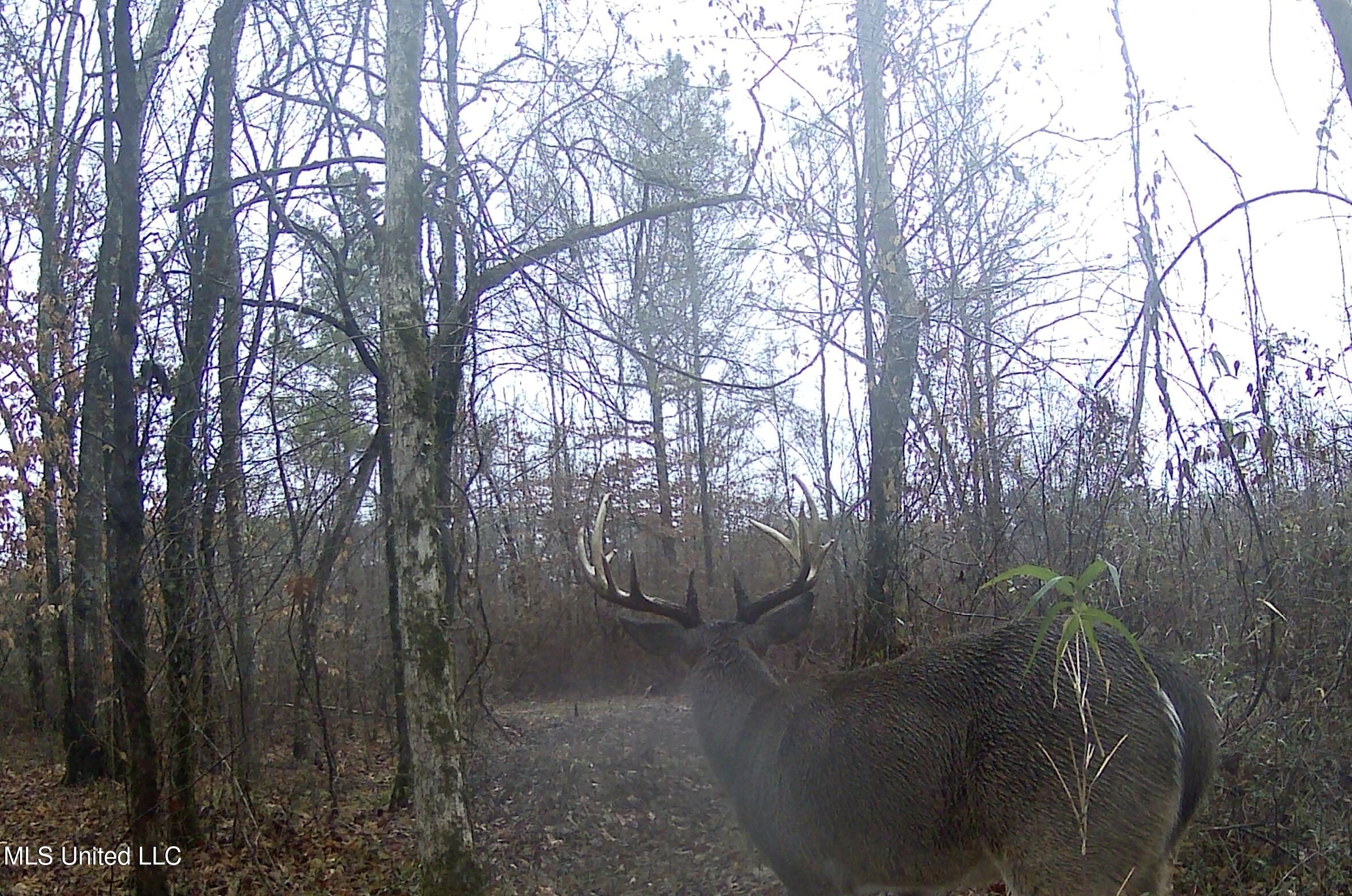 0 River Bend Road Property Photo 28