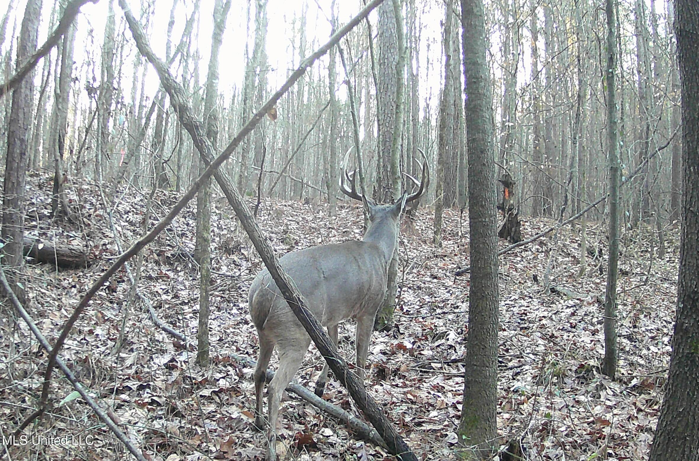 0 River Bend Road Property Photo 29
