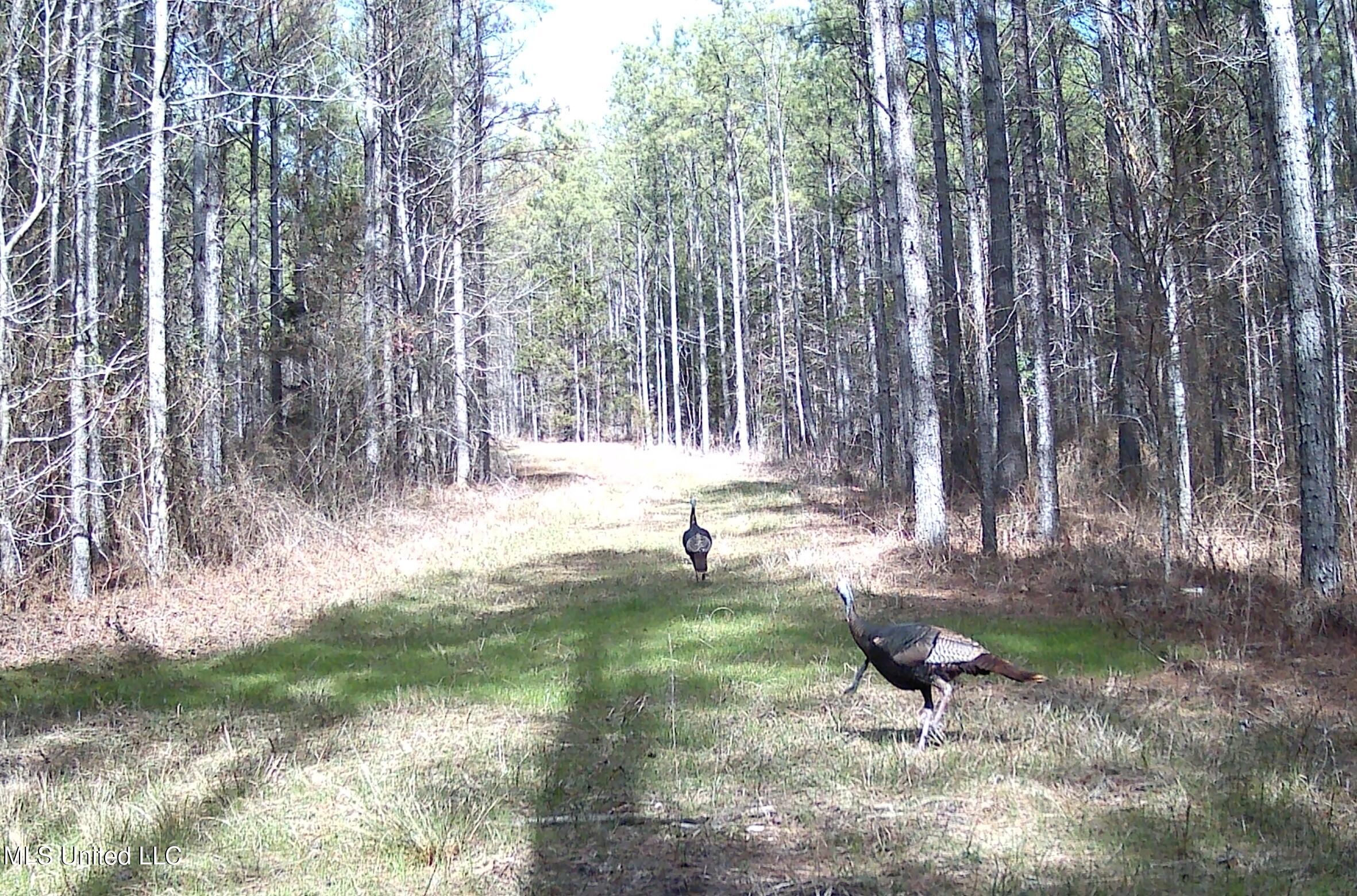 0 River Bend Road Property Photo 30