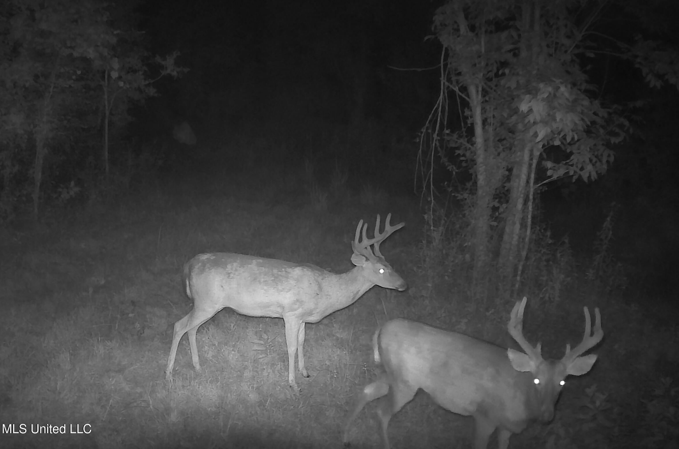 0 River Bend Road Property Photo 31