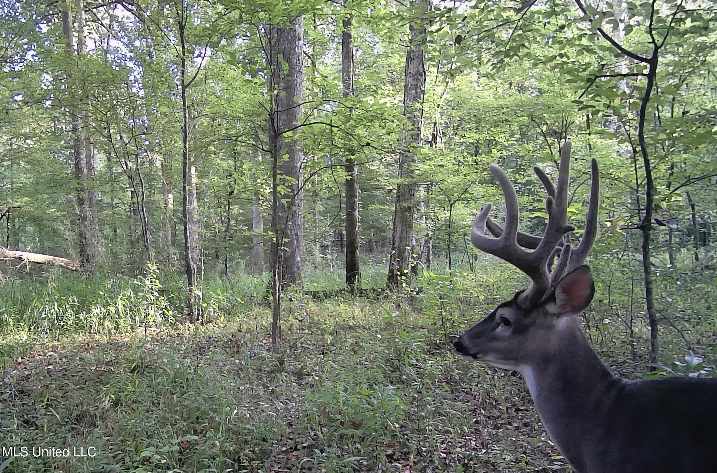 0 River Bend Road Property Photo 32