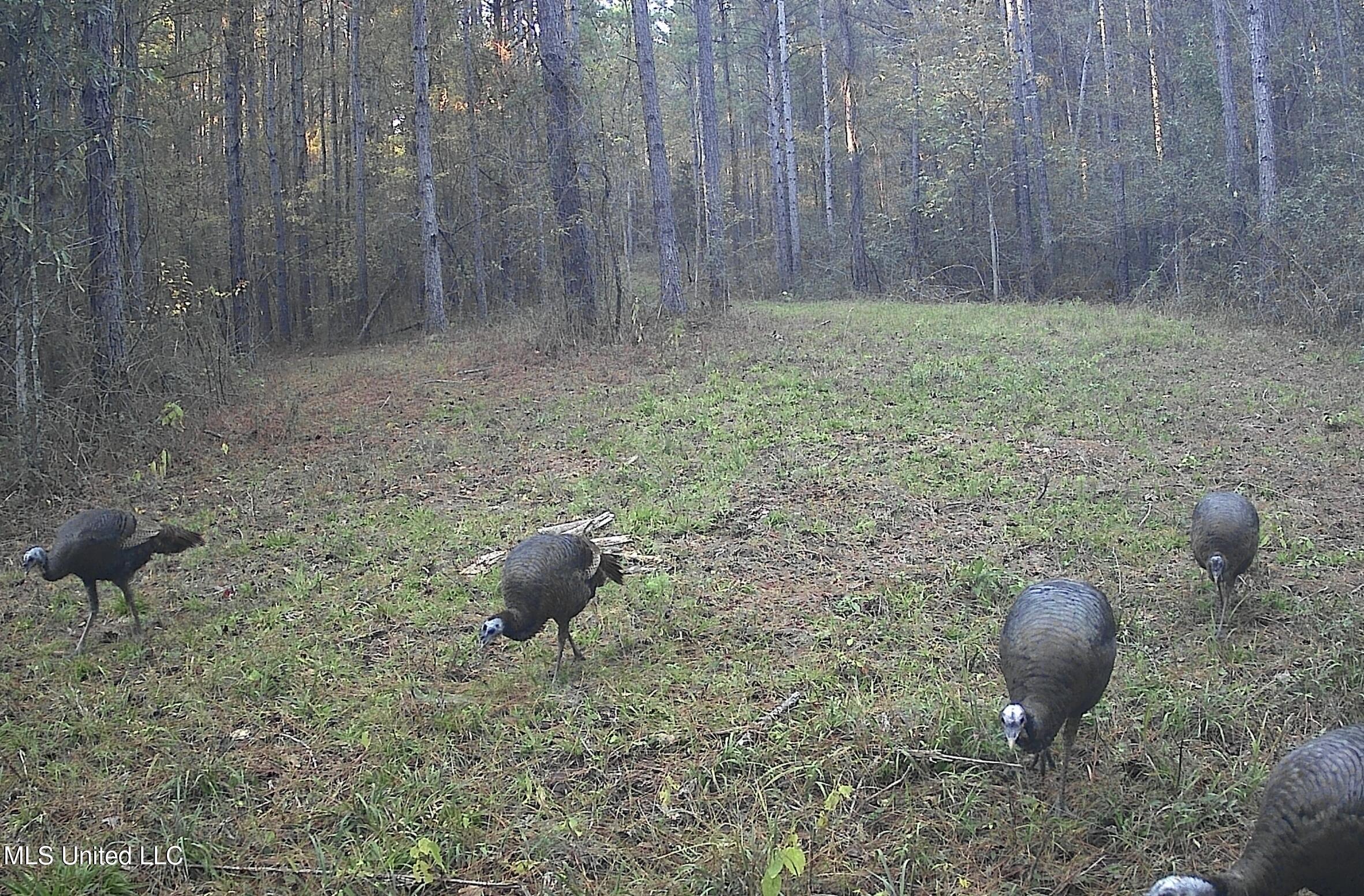 0 River Bend Road Property Photo 33
