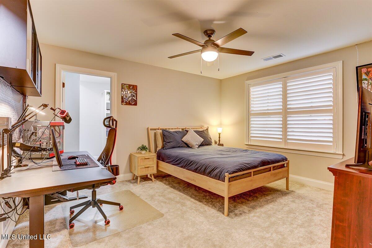4426 Macon Cove Property Photo 42