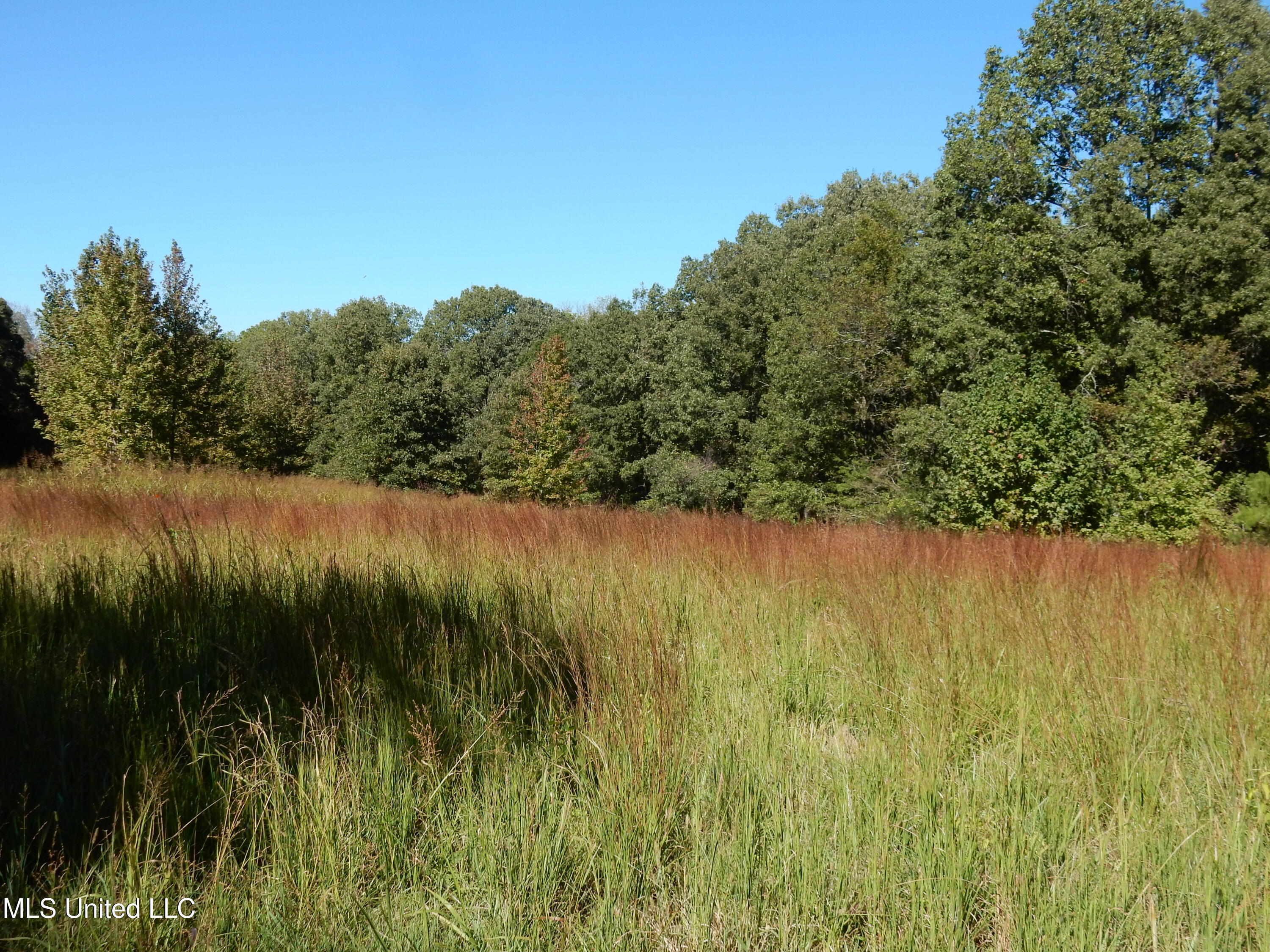 Lot 5 N Crockett Road Property Photo 2