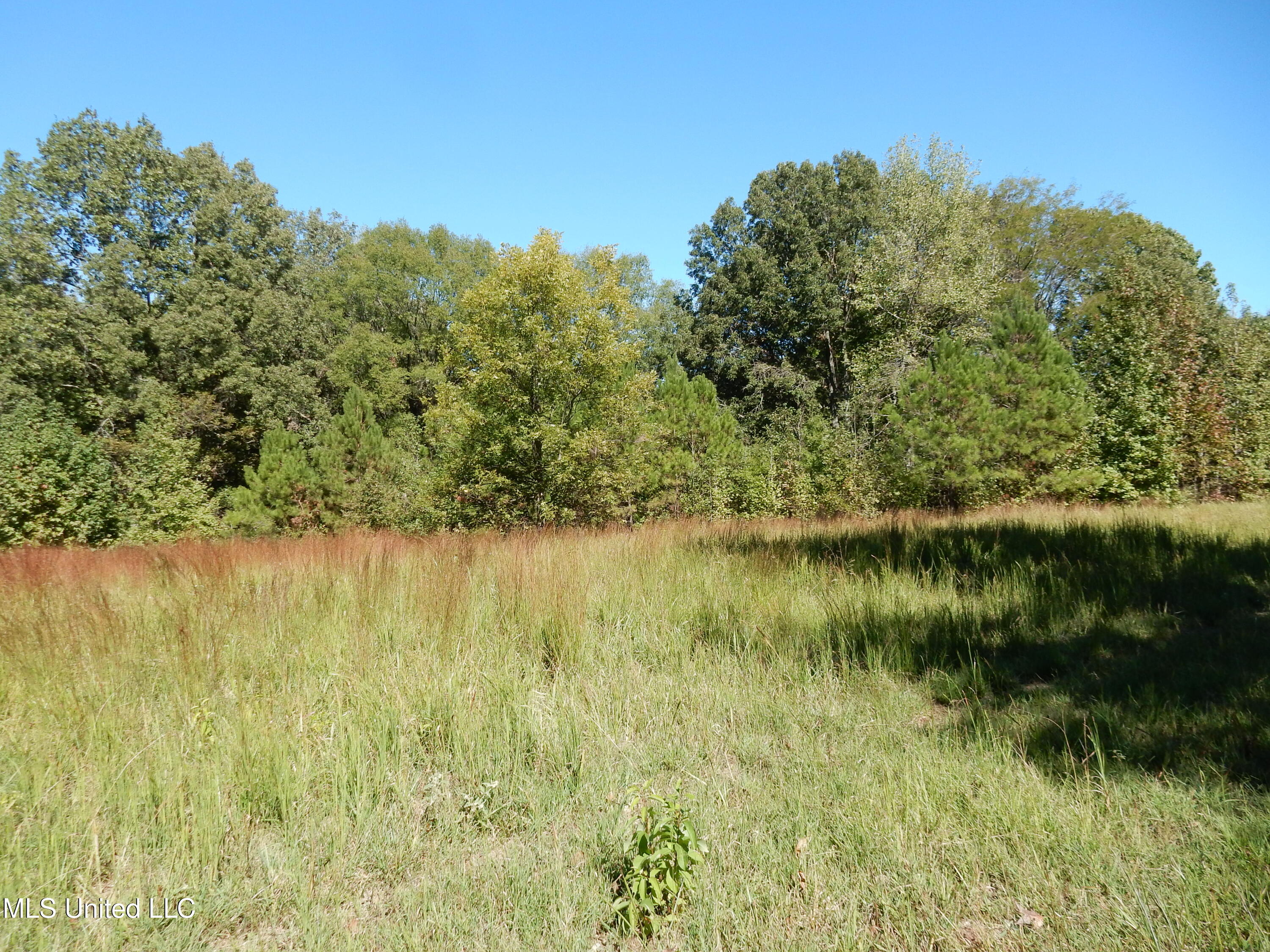 Lot 5 N Crockett Road Property Photo 3