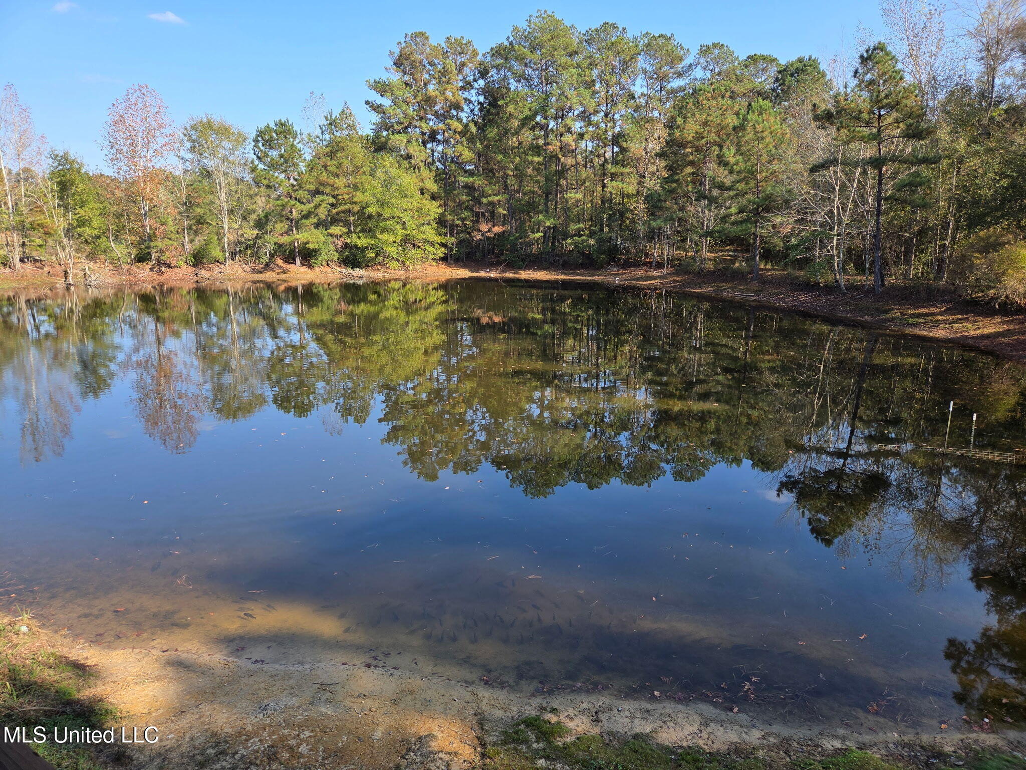 918 Spring Hill Road Property Photo 31