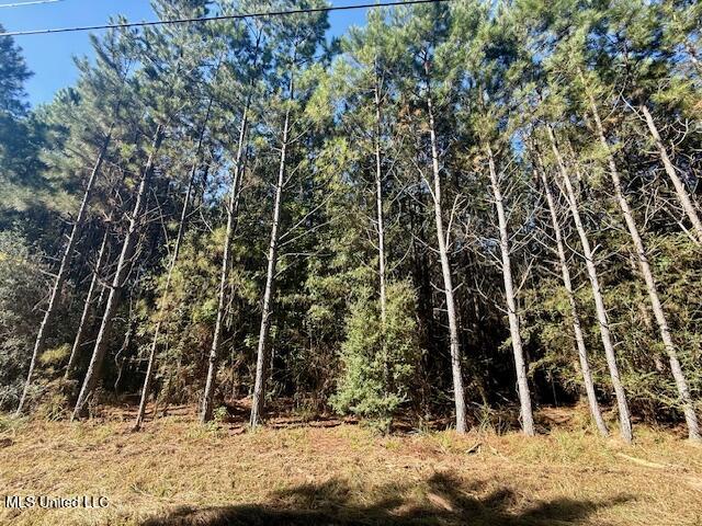 Tuckers Drive Se Property Photo 4