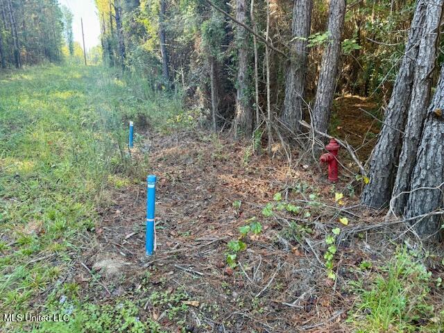 Tuckers Drive Se Property Photo 6