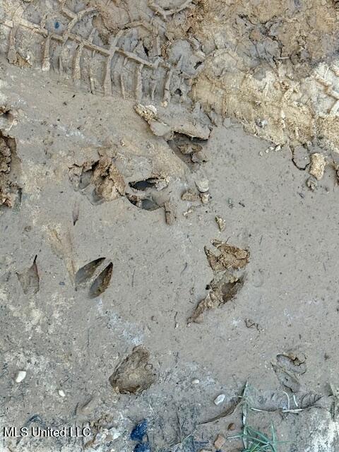 Tuckers Drive Se Property Photo 10