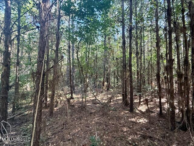 Tuckers Drive Se Property Photo 11