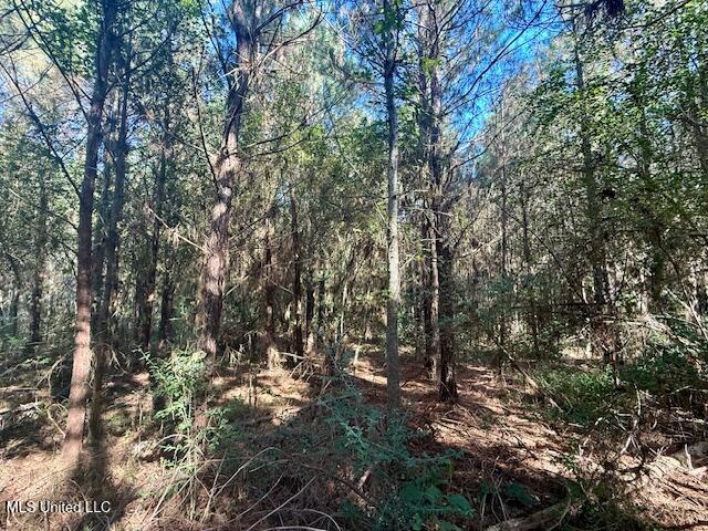 Tuckers Drive Se Property Photo 12