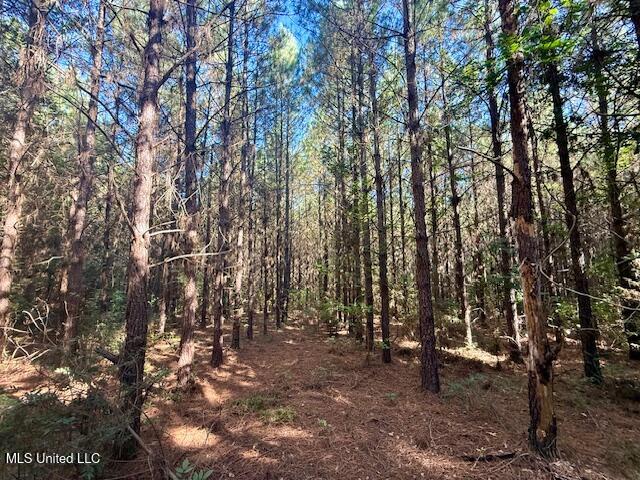 Tuckers Drive Se Property Photo 13