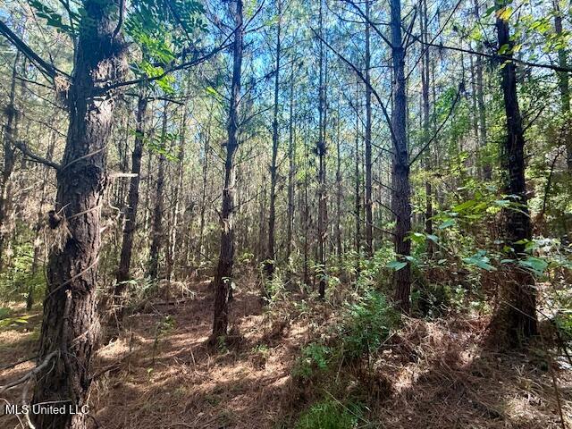 Tuckers Drive Se Property Photo 14