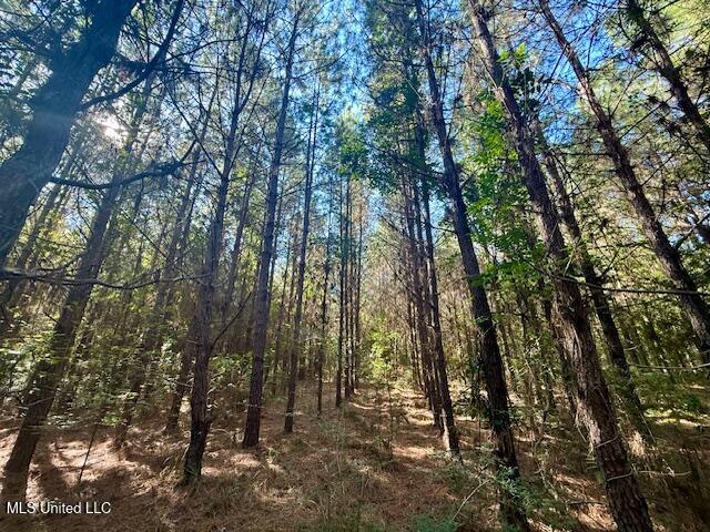 Tuckers Drive Se Property Photo 15