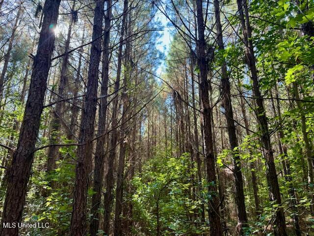 Tuckers Drive Se Property Photo 16