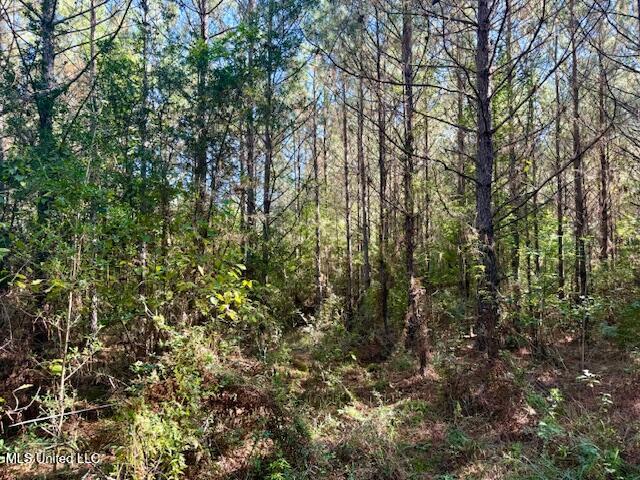 Tuckers Drive Se Property Photo 17