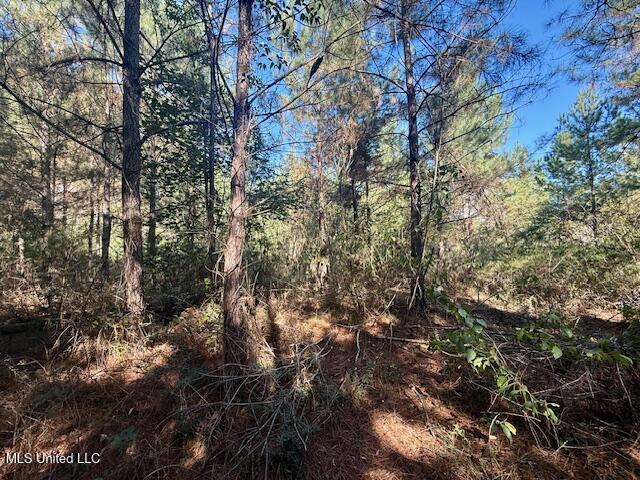 Tuckers Drive Se Property Photo 18