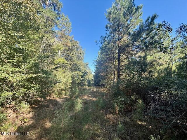 Tuckers Drive Se Property Photo 19