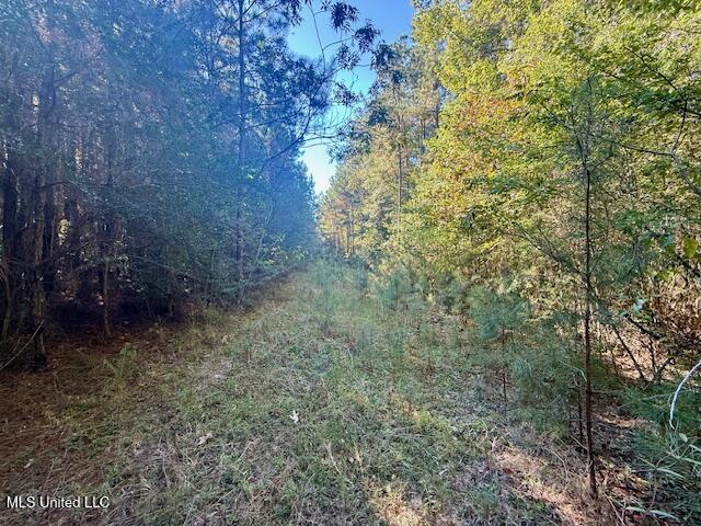 Tuckers Drive Se Property Photo 20