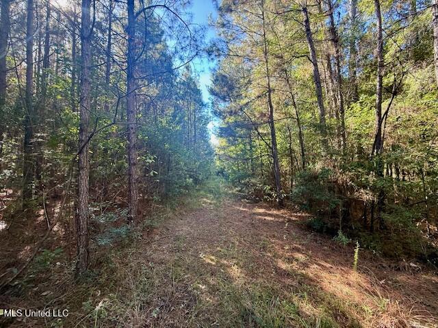 Tuckers Drive Se Property Photo 21