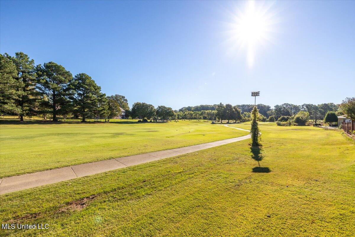 7906 Kirkwood Cove Property Photo 34