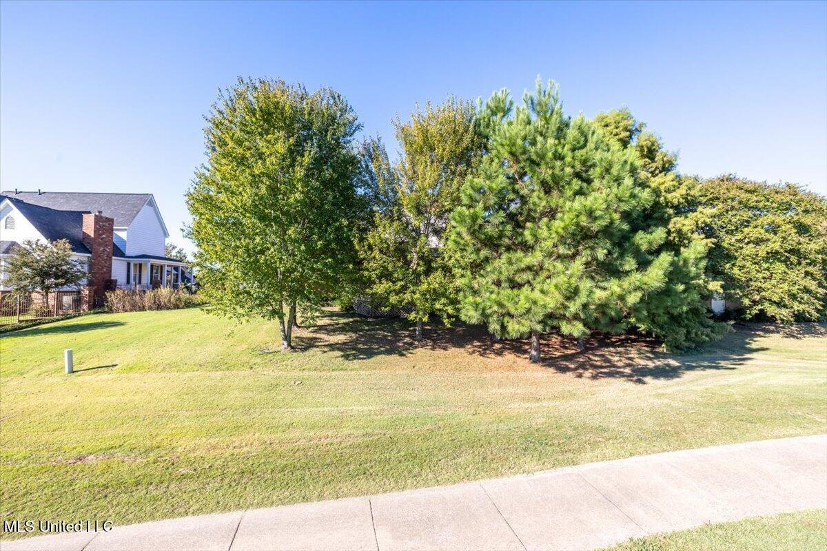 7906 Kirkwood Cove Property Photo 40