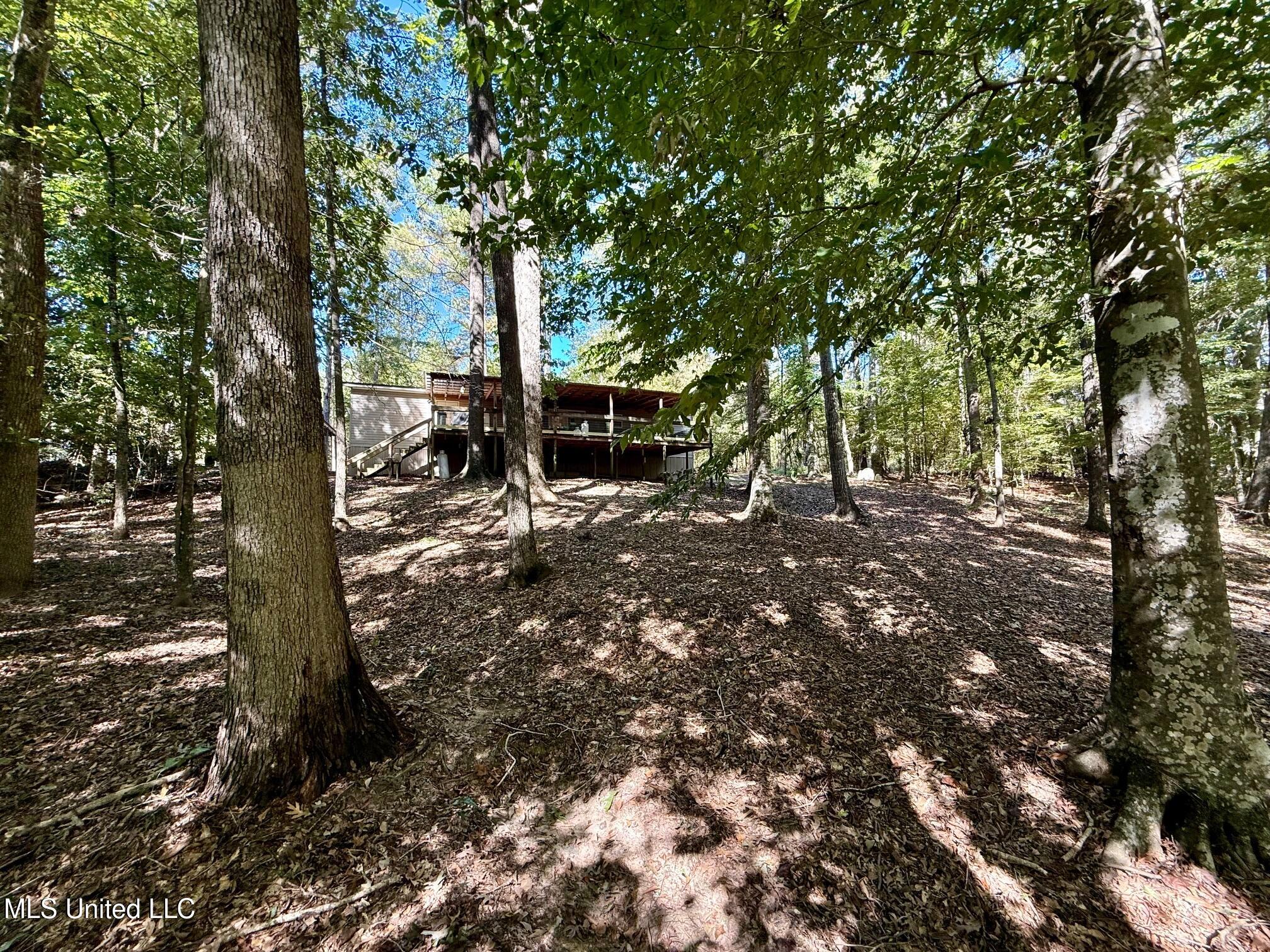 118 Craig Road Property Photo 11